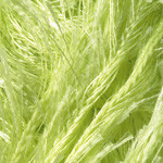 YarnArt Samba 2036