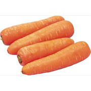 Насіння моркви
