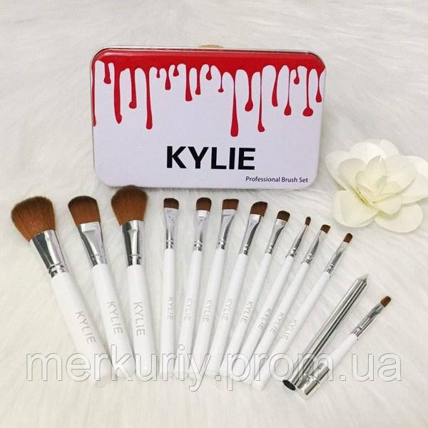 Професійний набір кистей для макіяжу Kylie Professional Brush Set