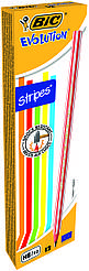 Олівці BIC Evolution Stripes в лінійку