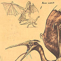Декор: Дослідження Кетсалькокалуса Плакат Птерозаврів, фото 10