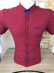 Акція! Сорочка короткий рукав Stendo жатка