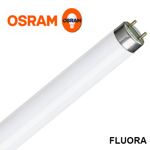 Лампа люмінесцентна Osram L 18W/77 T8 FLUORA G13