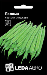 Насіння квасолі Палома, 20 шт., спаржевої зеленої, ТМ "ЛедаАгро"