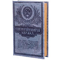 Книга-сейф Veronese Збережлива книжка 26х17х5 см 045UE