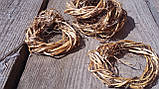 Гніздечка з натуральних корінців, 5 шт\уп., d-6 см, фото 2