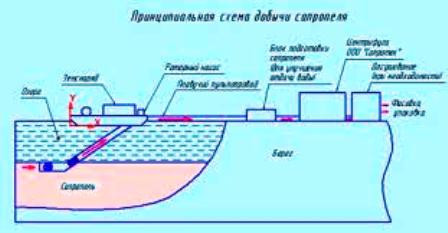 Сапропель киев. Продам сапропель киев.продаю сапропель киев. купить сапропель от производителя - фото 4 - id-p52756439