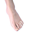 Міжпальцеві перегодки, модель 364, фото 2