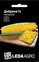 Насіння кукурудзи Добриня F1, 20 шт., суперсолодкої, ТМ "ЛєдаАгро"