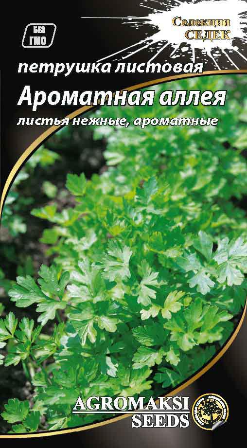 Насіння петрушки листова Ароматна алея, 3г