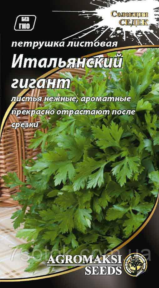Насіння петрушки листова Італійський гігант, 3г
