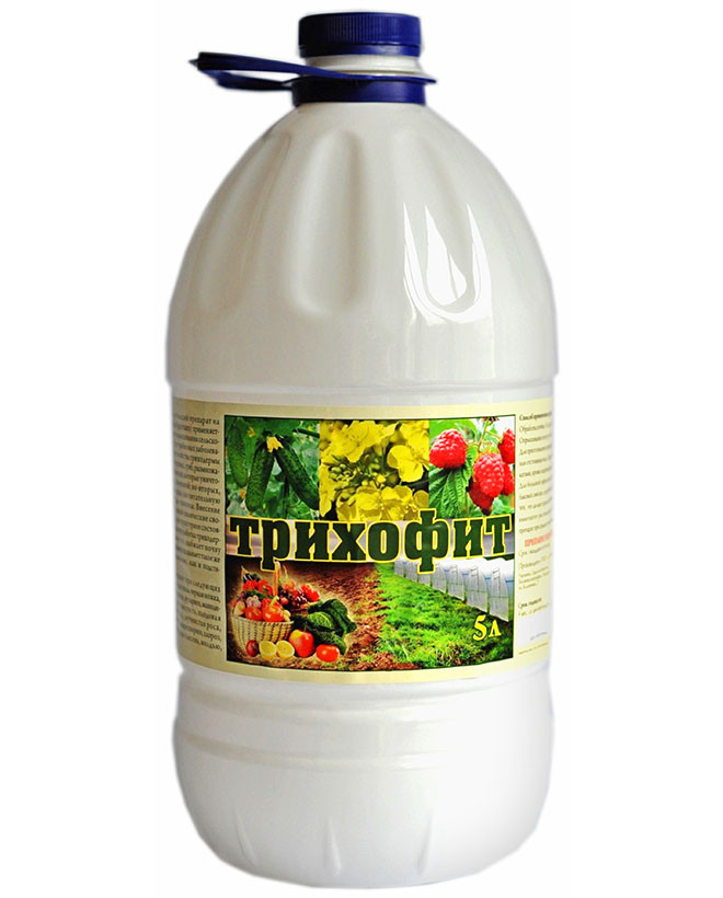 Тріхофіт 5л