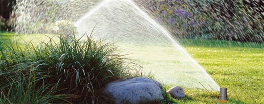 Автоматический полив участка - фото Автоматический полив участка