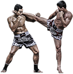 Єдиноборства