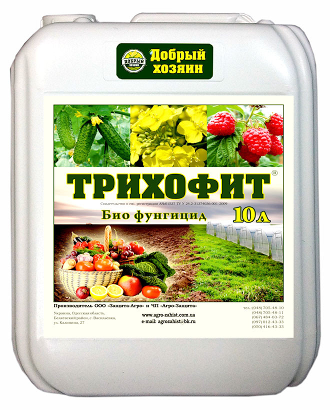 Тріхофіт 10л