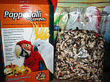 Грандмікс Паппагаллі комплексний корм для великих папуг (амазон, жако, какаду, ара, )2кг, фото 4