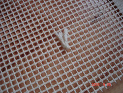 Наборы для рукоделия (ковровая техника) подушка "Божья коровка" - фото 2 - id-p602367012