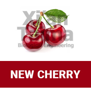 Xi'an Taima "New Cherry"