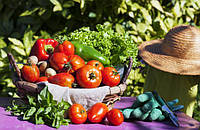 Хороші сусіди: що посадити поруч з помідорами