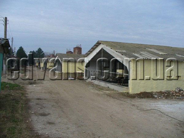 Теплоізоляція пташиників пінополіуретаном (ППУ)