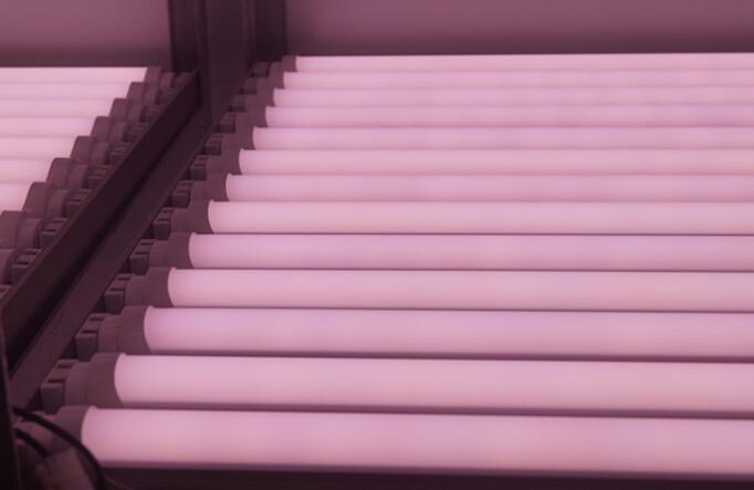 Світлодіодна  фіто-лампа  Т8 900мм 14w для підсвічування рослин