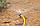 Дощуватель Presto-PS зрошувач кругової Тюльпан (8401), фото 3