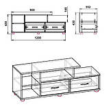 Тумба ТВ Вінниця новинка (Компаніт) 1200х352х430 мм, фото 3