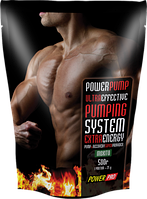 Предтренировочный комплекс Power Pro Pumping 500 грамм