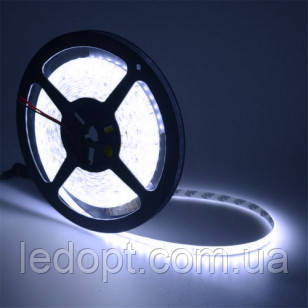 Світлодіодна стрічка SMD2835 14,4 W 120 LED/m IP33 ультра білий 15000k
