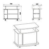 Тумба ТВ Амбасадор (Компаніт) 700х430х643мм, фото 9