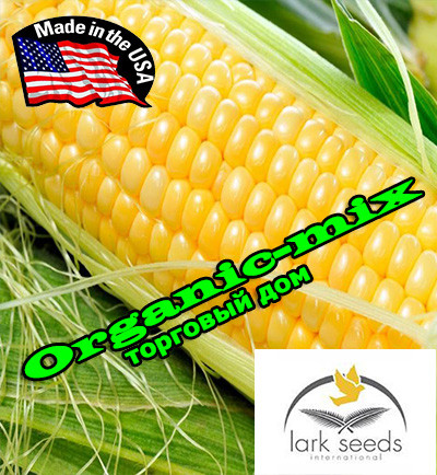 Насіння, кукурудза цукрова Добриня F1 (США), 2500 насінин, ТМ Lark Seeds