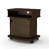 Тумба ТВ Карат рівне скло (Компаніт) 600х435х643мм, фото 6