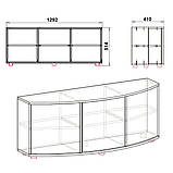 Тумба ТВ Плазма-2 (Компаніт) 1292х410х514мм, фото 2
