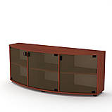 Тумба ТВ Плазма-2 (Компаніт) 1292х410х514мм, фото 3