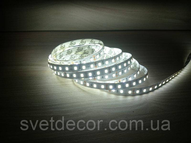 Світлодіодна стрічка Motoko Premium SMD5050 60led 14.4 W/m