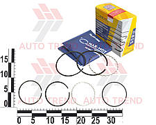 Кільце поршневе DAEWOO, CHEVROLET AVEO, LANOS, NEXIA, LACETTI, NUBIRA, TACUMA 1.6 DOHC 16V (0.25) (79.25) к-т, кор. уп.