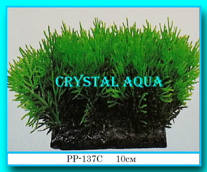 Рослина Атман PP-137C, 10см