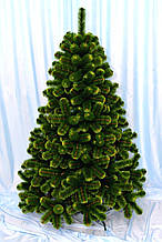 Ялинка Класік