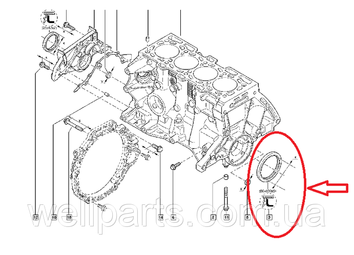 Купить Сальник коленвала задний на Рено Кангу 1 1.5 dCI K9K, 1.6i 16V ...