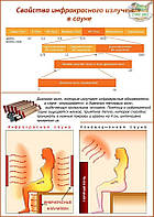 Інфрачервона кабіна Sentiotec Phoenix Medium, фото 2
