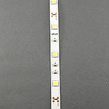 Світлодіодна стрічка ESTAR 3528/60 4,8 Вт 12В 2800-3200К Теплий білий IP20 преміум, фото 3