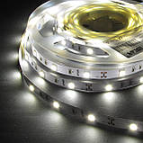 Світлодіодна стрічка ESTAR 3528/60 4,8 Вт 12В 2800-3200К Теплий білий IP20 преміум, фото 4