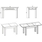 Кухонний стіл КС 5 розкладний (Компаніт) 700х1200х736(700х1640)мм, фото 10