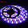 Світлодіодна стрічка SMD 5050 RGBW (RGB+білий) 60 LED/m IP65, фото 2