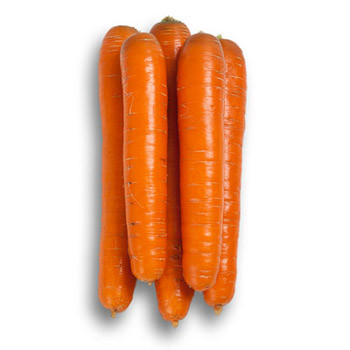 Насіння моркви Джерада (Jerada) калібр. 1.6-1.8, 25тис. насіння Rijk Zwaan