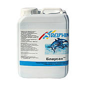 Засіб проти водоростей у басейні Альгицид Блаусан k Delphin 10 л