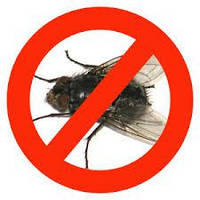 Засоби для боротьби з мухами