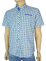 Чоловіча приталена сорочка Negredo 1028 Slim в світлих відтінках