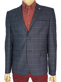 Піджак в крупну клітинку для чоловіків Daniel Perry Puket C-154