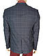 Піджак в крупну клітинку для чоловіків Daniel Perry Puket C-154, фото 4